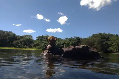 Image de M44House Lagoa Santa