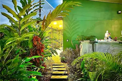 Image de Total relaxation with Bbq, swimming pool and beautiful surroundings.