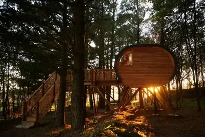Image de The Loft at Pickwell Manor- A unique and wonderful treehouse with an ocean view