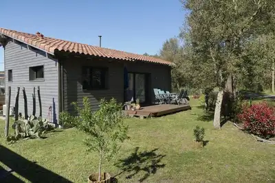 Image de Blue Dragonfly - Azur