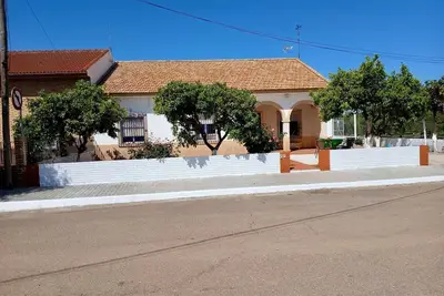 Image de The House of Flamenco