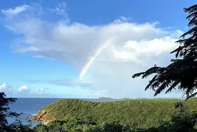 Image de July Special - New Lower Price!