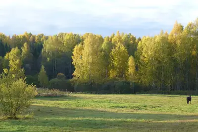 Image de Caravan and campsite in the countryside near the lake and beach