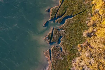 Image de Waterfront Home on Oakland Bay in Shelton