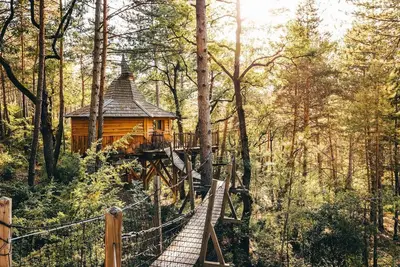 Image de Cabane dans les Arbres avec Jacuzzi Privatif - Aristoloche