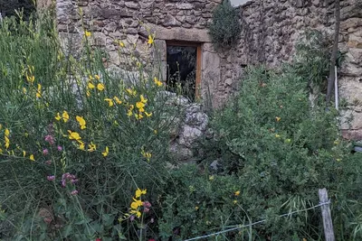 Image de Grande pièce voûtée naturellement fraîche dans une ancienne  bergerie