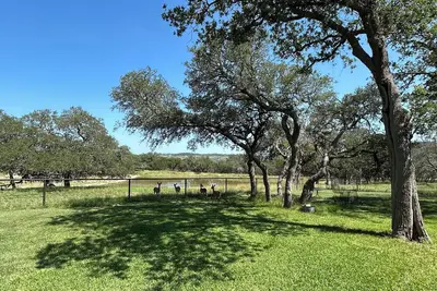 Image de Cool cottage on 30 acres between Blanco and Luckenbach