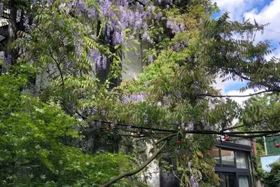 Image de Spacious 5-bedroom back house in beautiful Antwerp with Ac and rooftop terrace