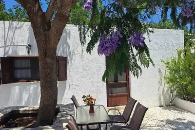 Image de Blue Acacia in Alinda Leros