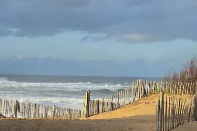 Image de Apartment in Landes for 6/7 persons, pet friendly