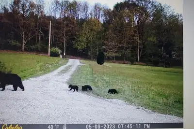 Image de Towanda Hunting Cabin on 35 Privately Owned Acres.