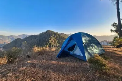 Image de Delicate camp A