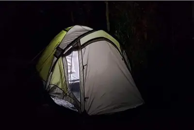 Image de Delicate camp B