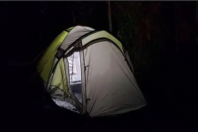 Image de Delicate camp C