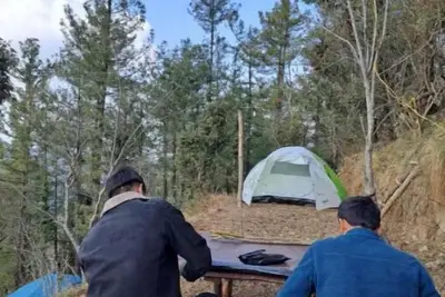 Image de Delicate camp D