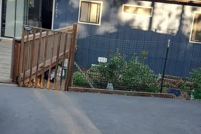 Image de Cozy cottage for vacation in Cedar Ridge near its famous trail.