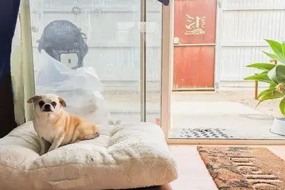 Image de Pet friendly beach home #1 - 250m flat walk to beach & Capel Sound boat launch