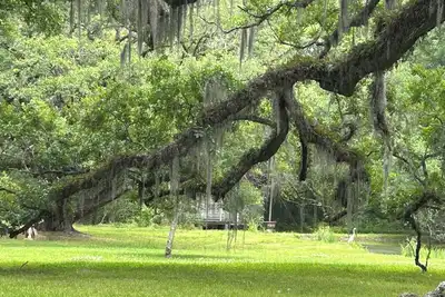 Image de Charming 2-bedroom cottage on the bayou Teche in Jeanerette with Ac, WiFi