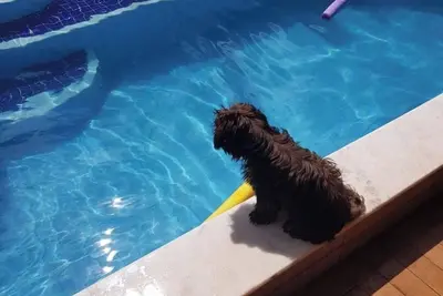 Image de Your Holiday Home