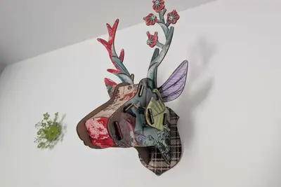 Image de In the countryside 5 minutes from Linz