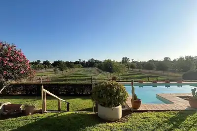 Image de Olive Grove Of Gatos Farm