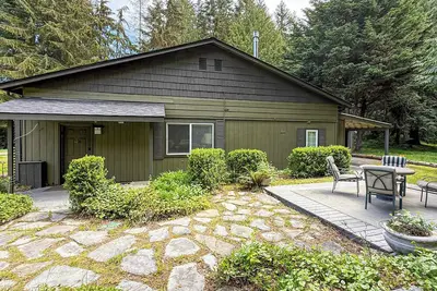 Dragonfly Haven The S