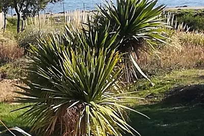 Image de Maison en bois bord de mer