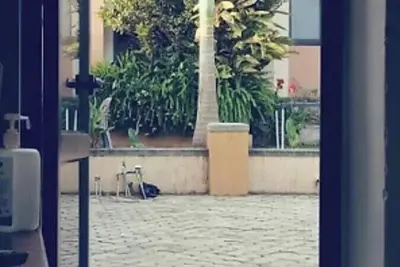 Image de Stod Villas Namugongo Sonde Kampala H