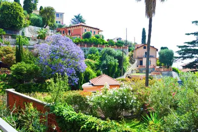 Surrounded by greenery a stone's throw from downtown and beaches