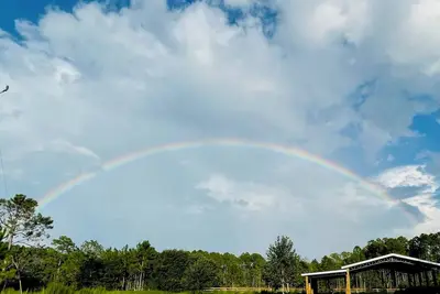 Image de Tranquil gated Rv/Camp Site with WiFi in charming Keaton Beach Fl 1k