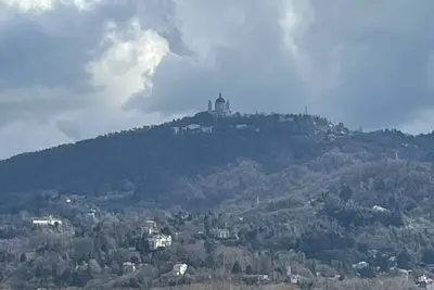 Image de Mole&Caffé Your pets are welcome in our home