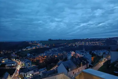 Image de Grand appartement au calme, lumineux, sans vis à vis, proche du centre-ville.