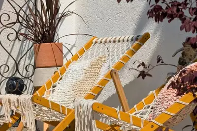 Image de Le Cèdre Bleu