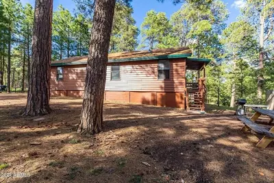 Image de Bear Cabin - Forest Lakes