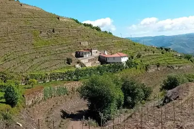 Image de Homerez - Charmante Villa avec Piscine à Lamego
