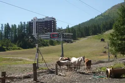 Image de Exceptionnel - En bordure de pistes et skis aux pieds - Pelvoux Ii - Vars