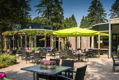 Image de Woodland Room Escape – Tranquility in the Heart of Nature - 4 Units