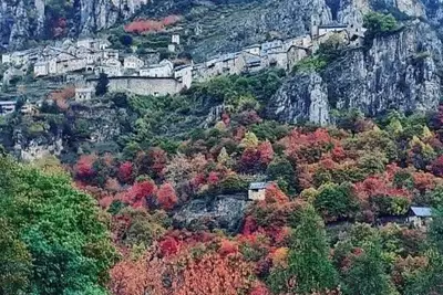 Image de Les Chardons - Roubion