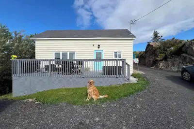 Image de Scout's House Summary