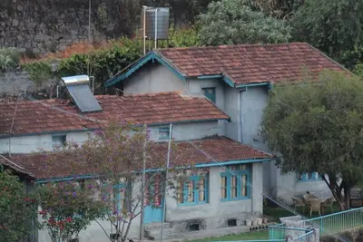 Image de Darza Delite