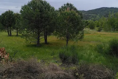 Image de Chambre chez l'habitante, éco-lodge.