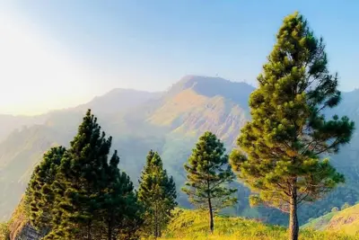 Image de Hilltop Heaven Cabanas