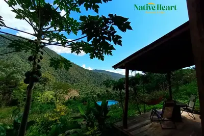 Image de 🌿 Personalized Amazon escape: 🧘‍♀️yoga, 🌄hikes, 🍫chocolate & 💚healing