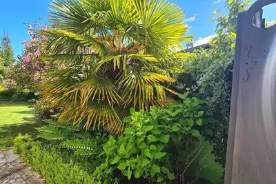 Image de Where comfort meets the mountains—close to everything, spacious, and pet-friendly!