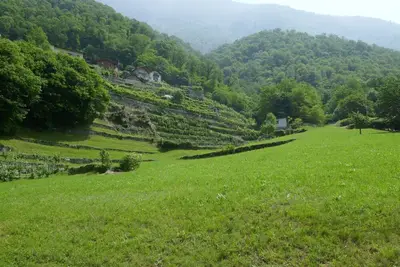 Image de Merveilleuse maison de vacances privée pour 4 personnes avec Wifi, Tv, patio et animaux admis