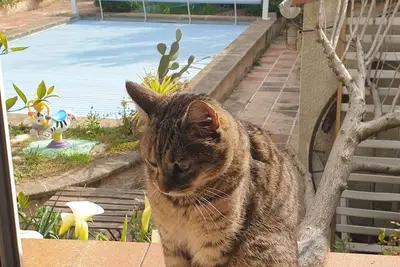 Image de Villa avec piscine et jardin.