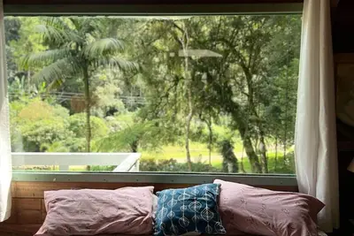 Image de Comfort of nature