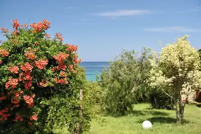 Image de Low Tide Apartment