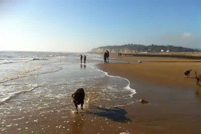 Image de Spacious 4 bed family beach house in sought after Pett Level Beach, Dogs welcome