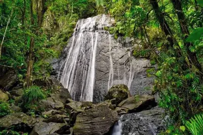 Image de Spacious 3br Apt in Rio Grande